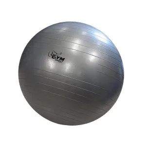 65cm Gym Ball / Fit Ball / Swiss Ball