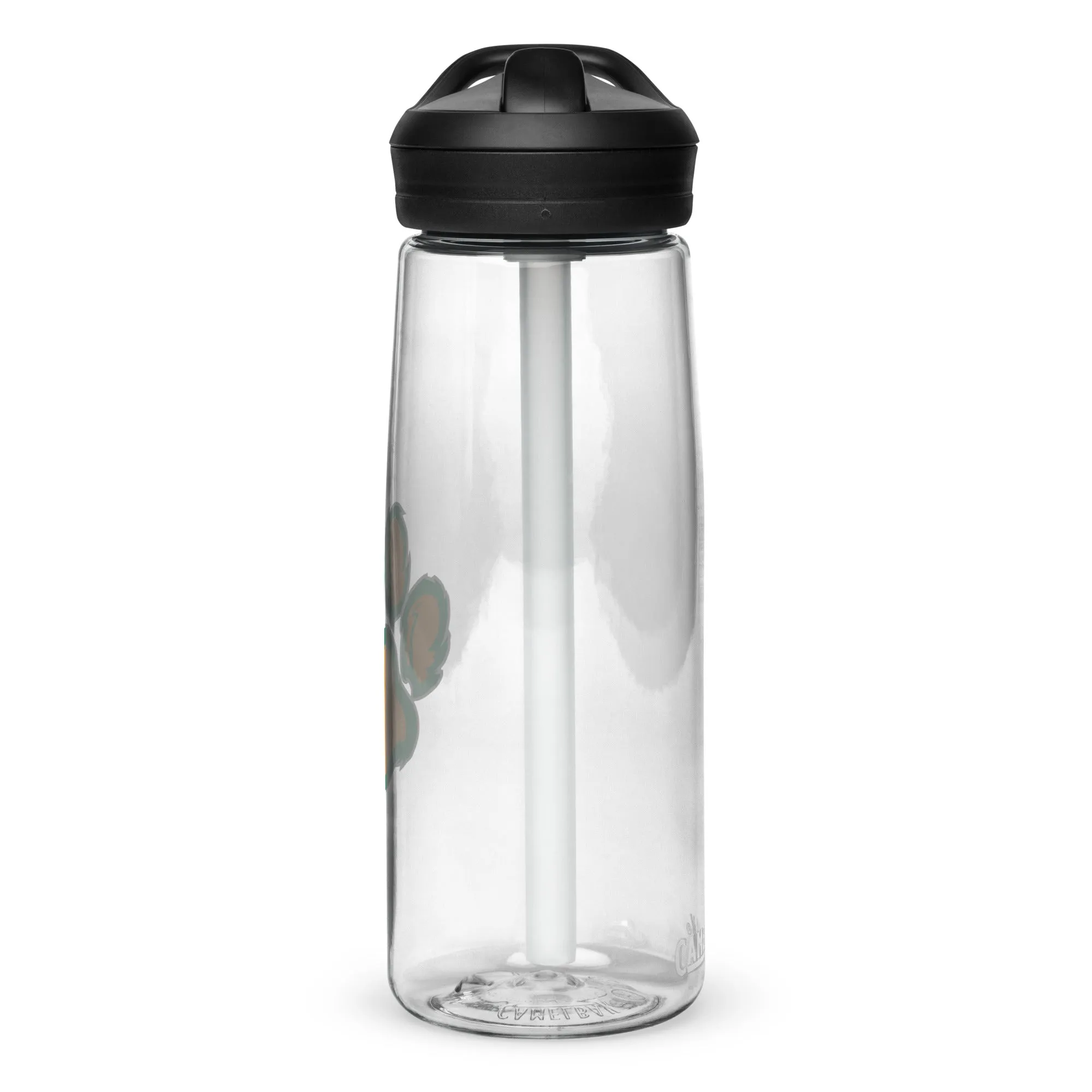 Cougars TF Sports Water Bottle