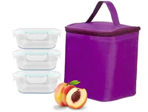 HOMIES , Set of 3, Square glass Storage/Serving Bowl Set lunch tiffin box with Clamp Glass lid and Insulated Bag, Microwave & Oven Safe, 320 ml