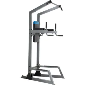 ProForm Carbon Strength Power Tower & Dip Stand